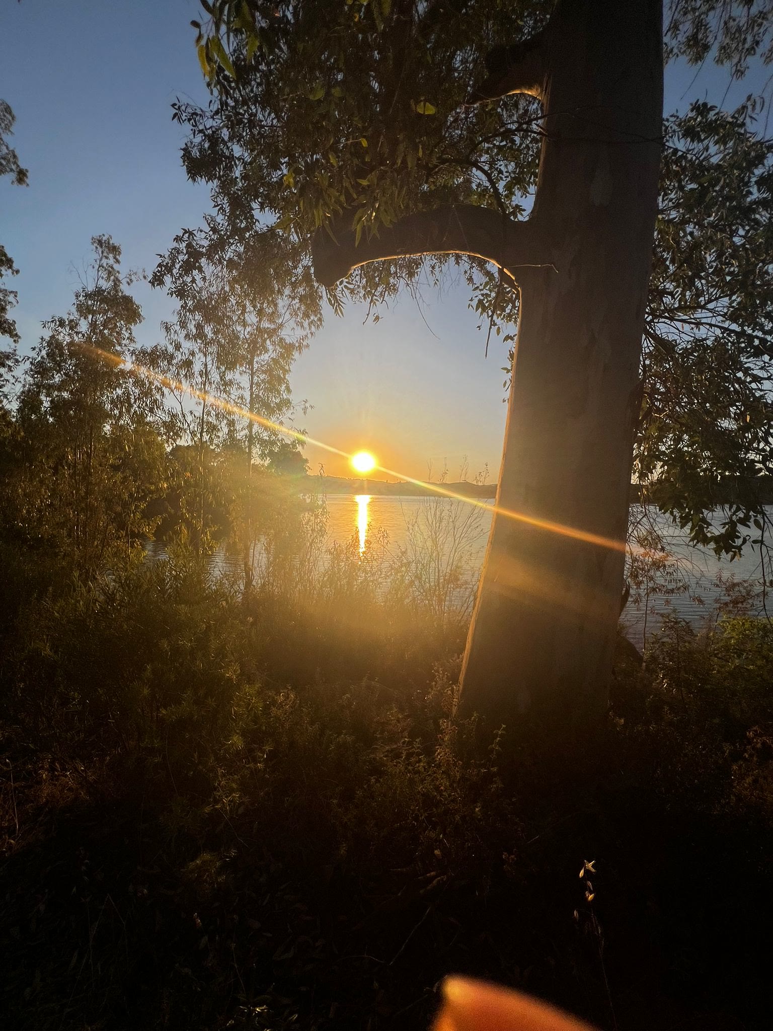 El lago